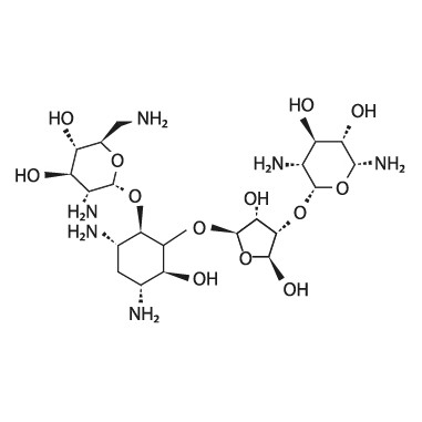 Neomycin (Ready-to-use), 10 mL