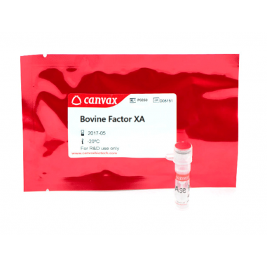 Bovine Factor Xa, 1 mg