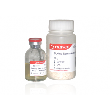 Bovine Serum Albumin (BSA), 30 % liquid, 50 mL