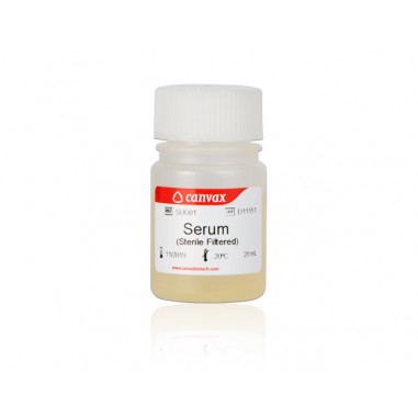 Fetal Bovine Serum (FBS), 50 mL