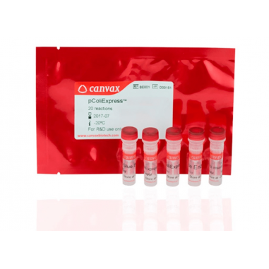 pColiExpress III Cloning & Expression Kits, 20 rxn-Plus