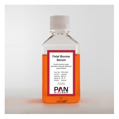 Fetal Bovine Serum, heat inactivated, sterile filtered