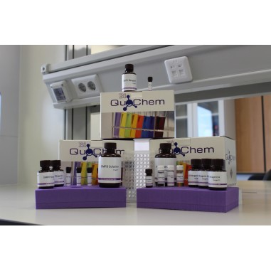 BCA Protein Assay Kit (1000 tests-96 well format)