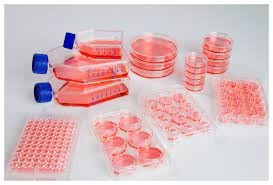 Plasty pre bunkové kultúry